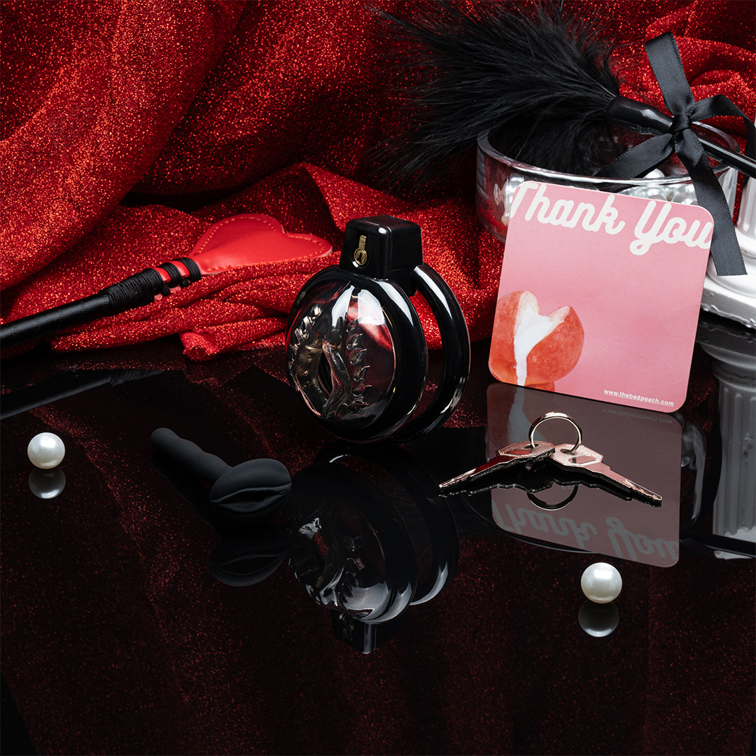 Sovereign Chastity Cock Cage Kit